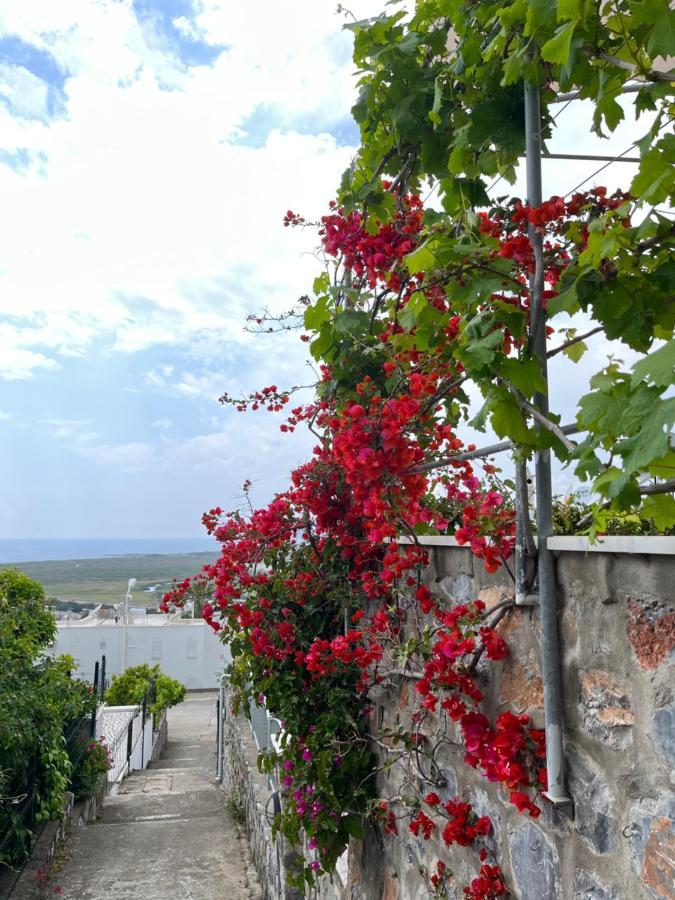 Villa Bella Vista - Near The Beach And Airport Dalaman Buitenkant foto